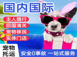 晋江机场物流国际宠物托运 【国